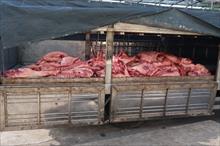 Hơn một tấn thịt lợn lở mồm long móng tại chợ đầu mối TP HCM